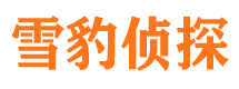 江北区侦探公司